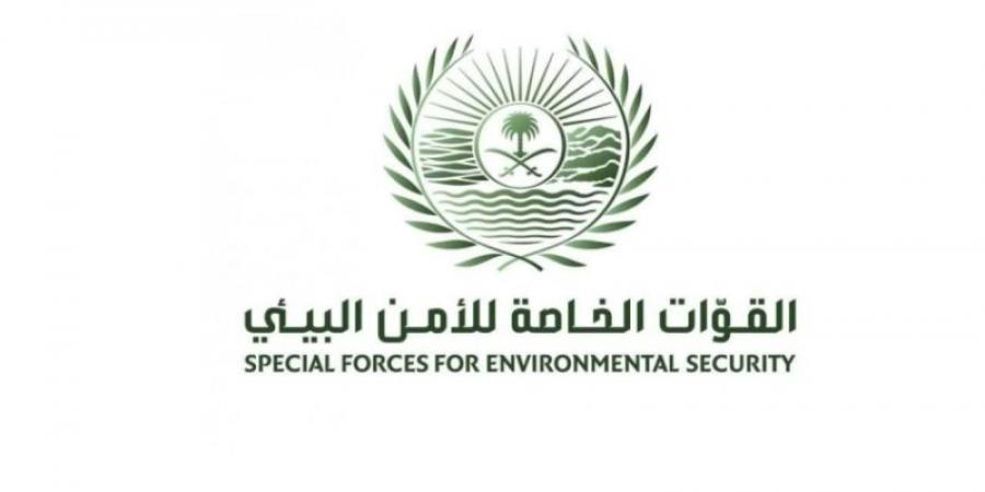 القوات الخاصة للأمن البيئي تضبط (3) مخالفين لنظام البيئة لإشعالهم النار في غير الأماكن المخصصة لها في منطقة عسير