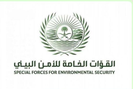 القوات الخاصة للأمن البيئي تضبط مخالفين لنظام البيئة بمنطقة الجوف
