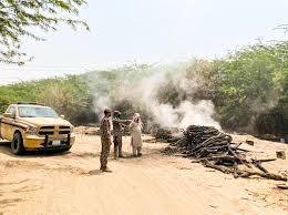 القوات الخاصة للأمن البيئي تضبط مخالفين لنظام البيئة في منطقة عسير
