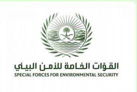 القوات الخاصة للأمن البيئي تضبط (5) مخالفين لنظام البيئة لنقلهم حطبًا محليًا بمنطقة الرياض