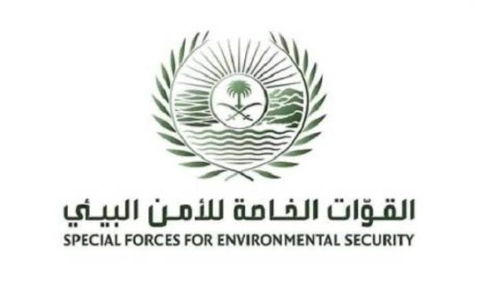 القوات الخاصة للأمن البيئي تضبط (27) مخالفًا لنظام البيئة لاستخدامهم حطبًا وفحمًا محليين في أنشطة تجارية