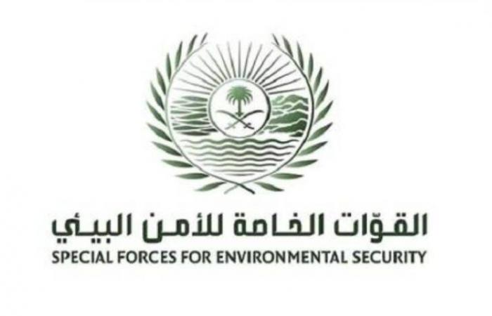 الأمن البيئي يضبط مخالفين لنظام البيئة في أماكن محظورة بمحمية الملك سلمان الملكية ومحمية الأمير محمد بن سلمان الملكية